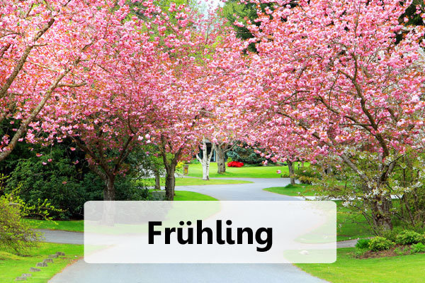 Das Gartenjahr: Der Fruehling