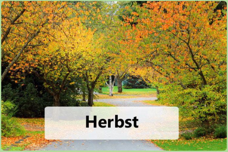 Das Gartenjahr: Der Herbst