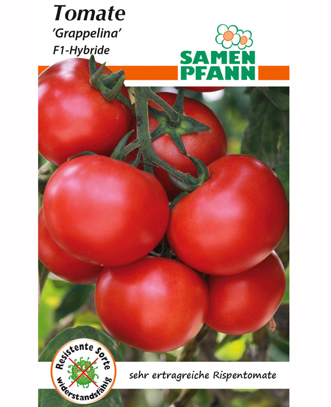 Tomate 'Grappelina' - F1-Hybride (Art.Nr. G864)