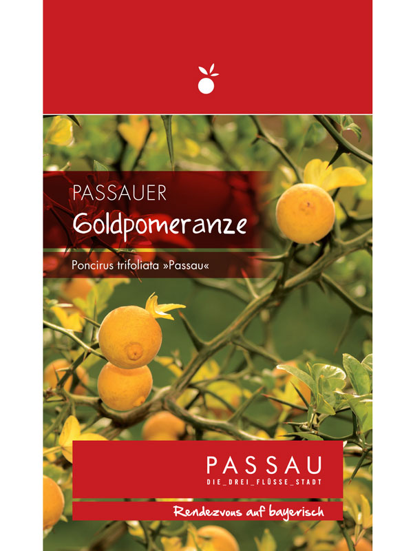 Passauer Goldpomeranze, Poncirus trifoliata 'Passau'