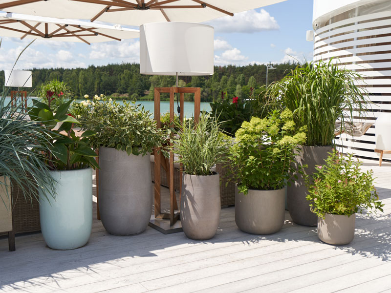 Topfpflanzen auf einer Terrasse