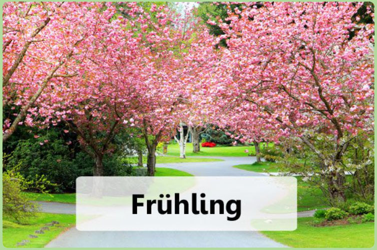 Das Gartenjahr: Der Frühling