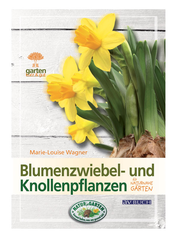 BdB-Handbuch ''Blumenzwiebeln''