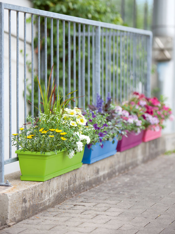 Blumenkasten 'Toscana Trend'