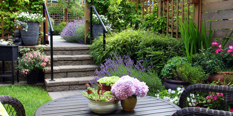 Terrasse mit Topfpflanzen